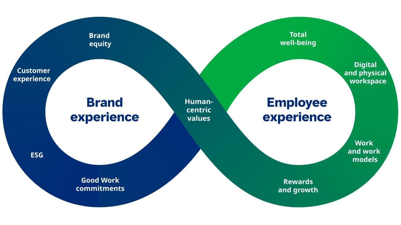 Infografía del marco de Experiencia del empleado de la marca